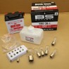 Kit 16 ampoules + batterie 6 volts 250 / 500 XT